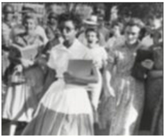 Integration of Central High School