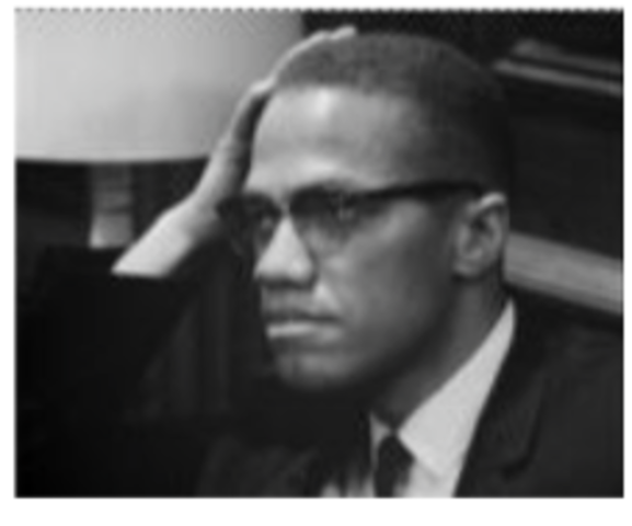 Advocates for Black Nationalism