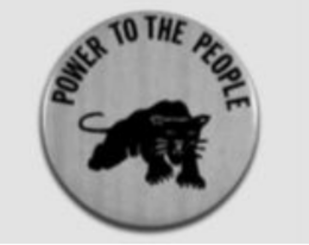 Black Panther Party founded