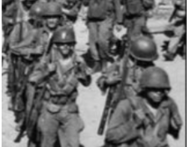 Executive Order 9981