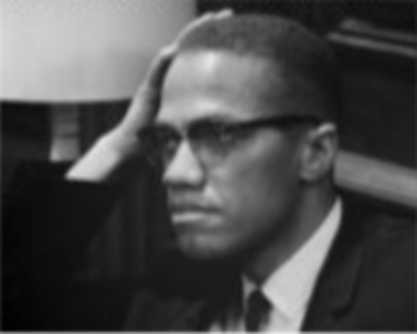 Advocates for Black Nationalism