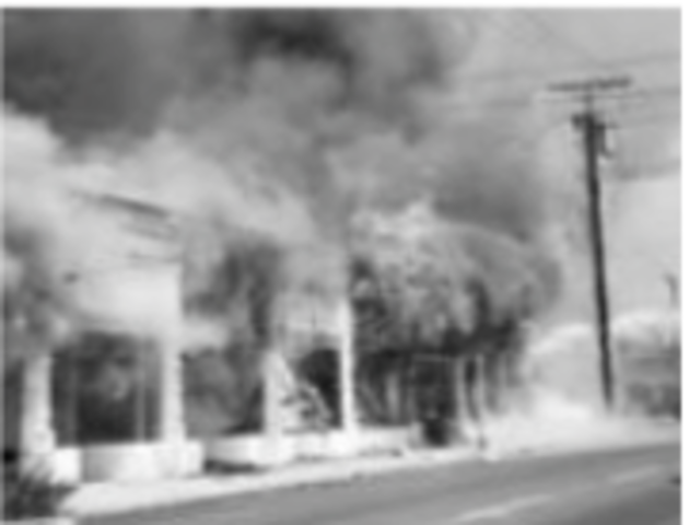 Watts Riot