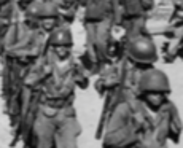 Executive Order 9981