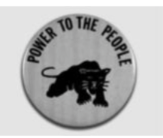 Black Panther Party Founded