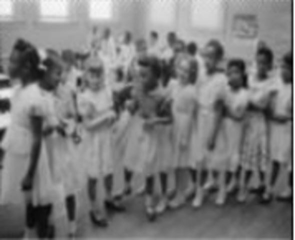Brown v. Board of Education Ruling