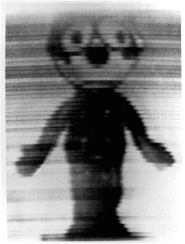 Photograph through Wires