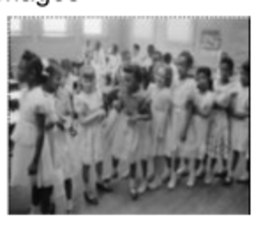 Executive Order 9981