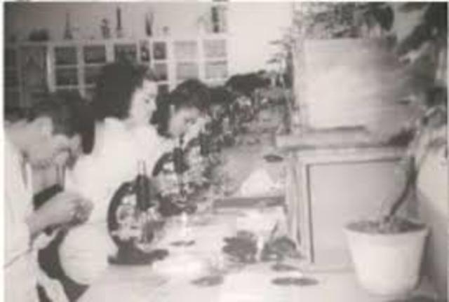 SEGUNDA ETAPA (UPTC)