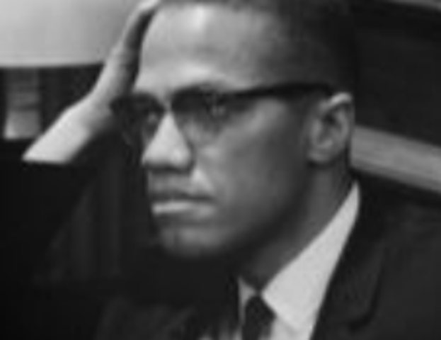 Advocates for Black Nationalism