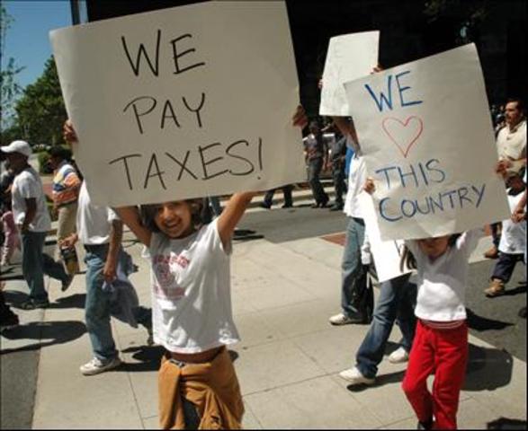 Arizona Immigration Law