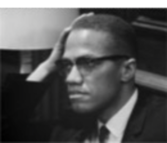 Advocates for Black Nationalism