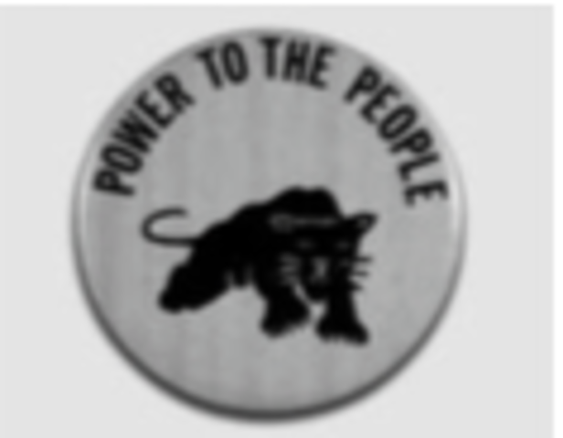 Black Panther Party Founded