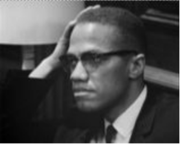 Advocates for Black Nationalism