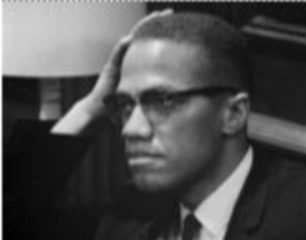 Advocates for Black Nationalism