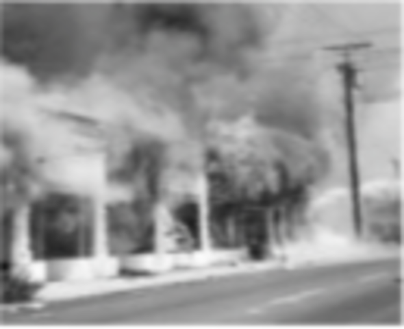 Watts Riot