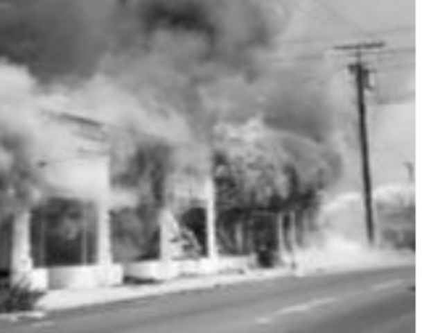 watts riot