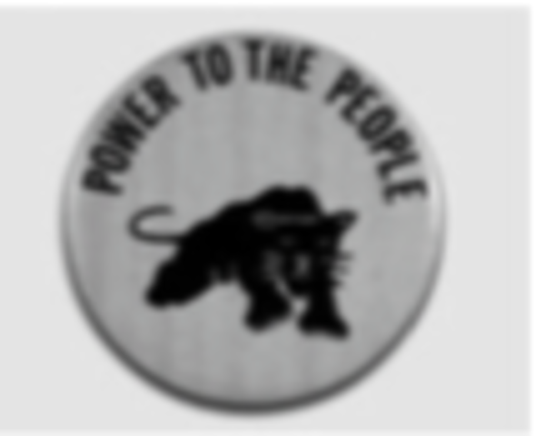 Black Panther Party Founded