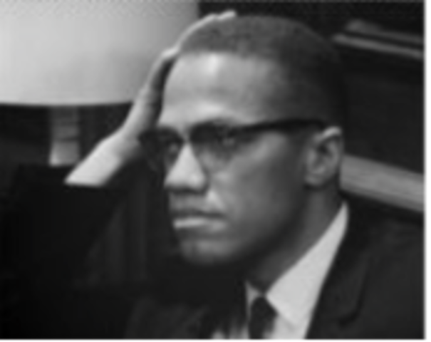 Advocates for Black Nationalism