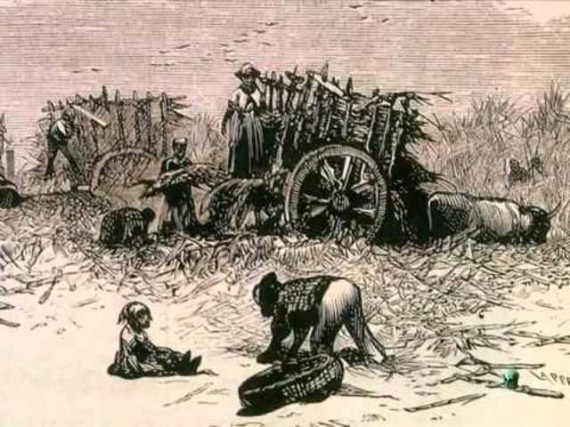 Restauración borbonica