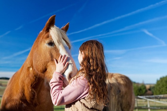 The horse get his name