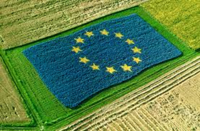 Signatura de la P.A.C.