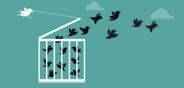 1st liberation of concentration camps