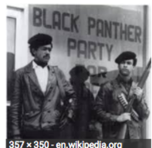 Black Panther Party Founded