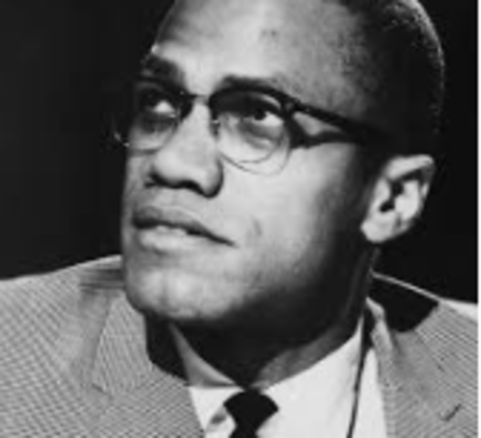 Advocates for black nationalism