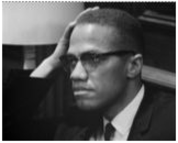 Advocates for Black Natonalism