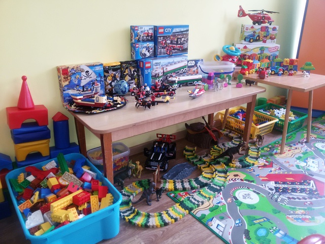 ОРГАНИЗАЦИЯ ОБРАЗОВАТЕЛЬНОЙ И РАЗВИВАЮЩЕЙ СРЕДЫ