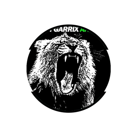 Lanzamiento de Animals su primer éxito internacional