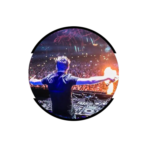 Actuación en el Ultra Music Festival de 2014