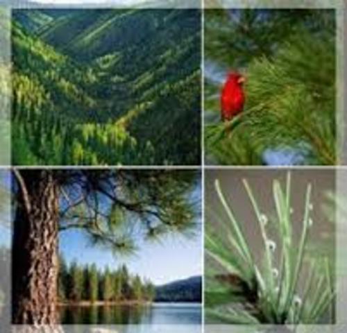 Código Nacional de Recursos Naturales Renovables y de Protección al medio Ambiente. DECRETO 2811 DE 1974