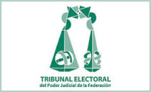 Tribunal Federal Electoral