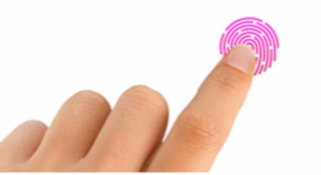 Presentazione grafiche dell'app