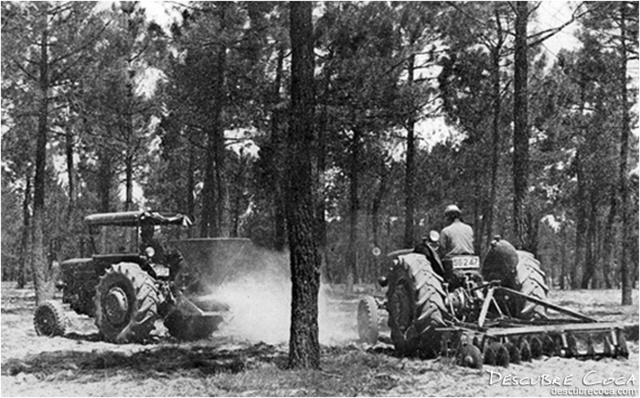 Planes de desarrollo