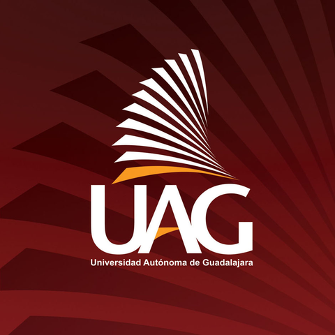 Estudiaré uan maestría en animación en la UAG