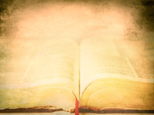 Etapas de la psicologia