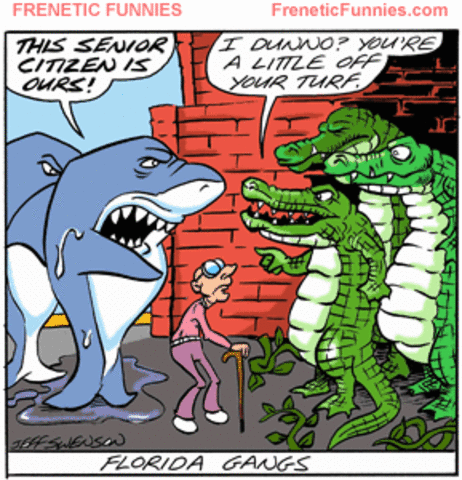 Gangs Infultrate the South