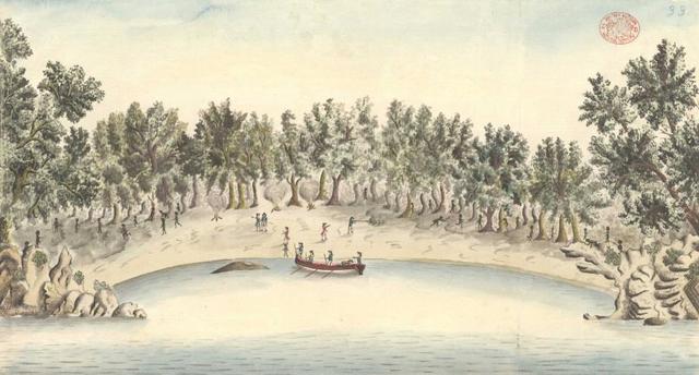 Governor Phillip gets speared