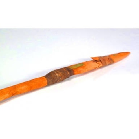 Govenor Phillip gets speared