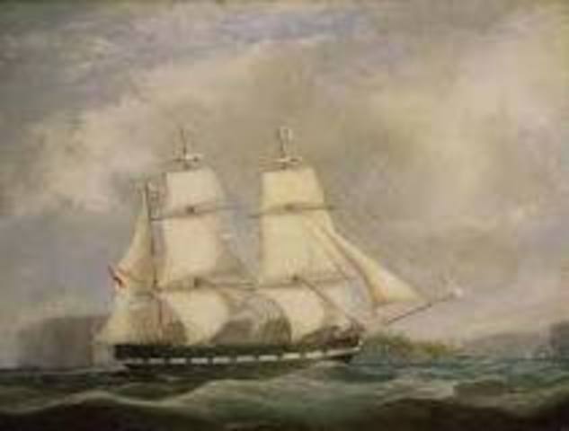 Captain Cook found Australia