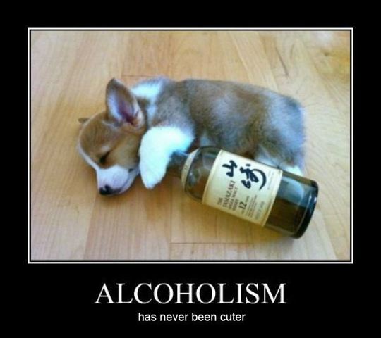 State Prohibitions = Alcoholism Increase