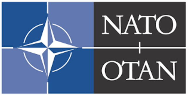 North Atlantic Treaty Organization (NATO)