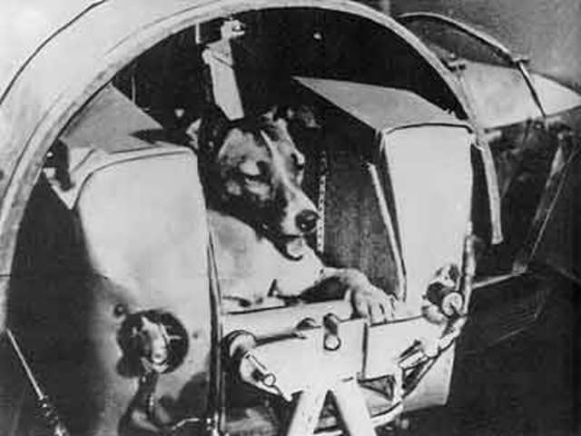 Sputnik 2 - Laika