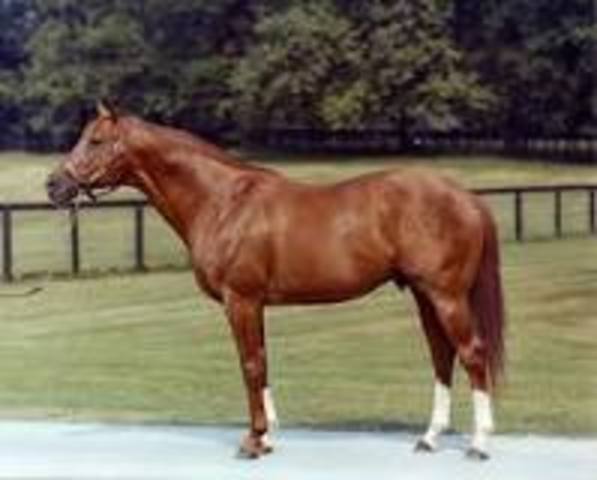 Secretariat wins Belmont Stakes to win Triple Crown