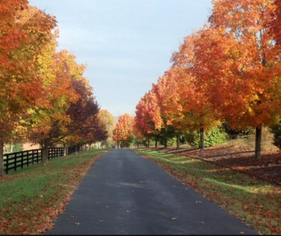 James Madison's death