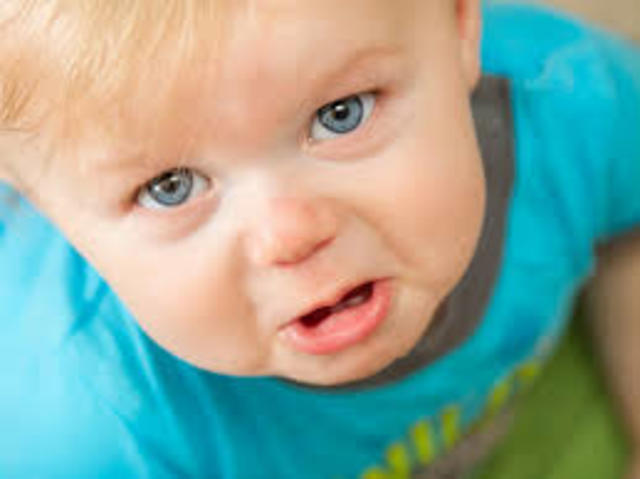 Nire lehenengo pausuak