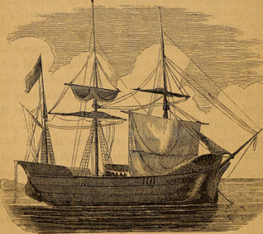 The Speedwell And The Mayflower