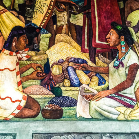 LOS TAYRONAS EN COLOMBIA